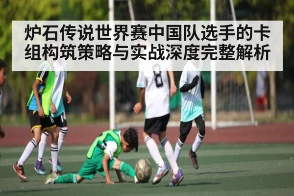 炉石传说世界赛中国队选手的卡组构筑策略与实战深度完整解析